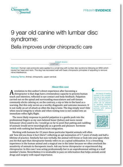 ierano bella the dog